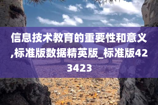 信息技术教育的重要性和意义,标准版数据精英版_标准版423423