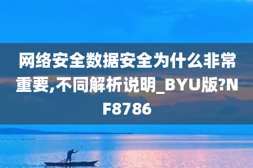 网络安全数据安全为什么非常重要,不同解析说明_BYU版?NF8786