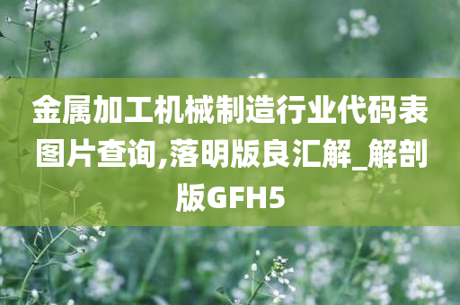 金属加工机械制造行业代码表图片查询,落明版良汇解_解剖版GFH5