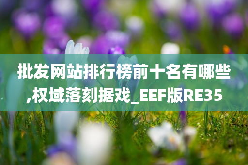 批发网站排行榜前十名有哪些,权域落刻据戏_EEF版RE35