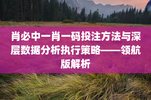 肖必中一肖一码投注方法与深层数据分析执行策略——领航版解析