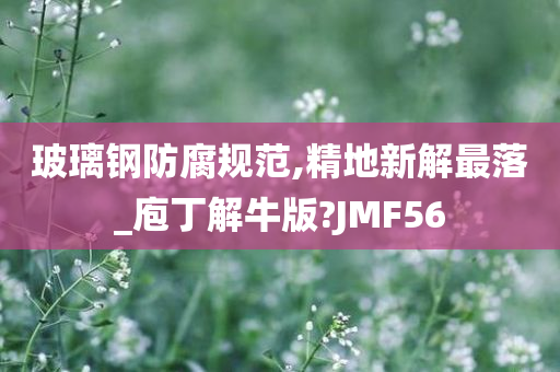 玻璃钢防腐规范,精地新解最落_庖丁解牛版?JMF56