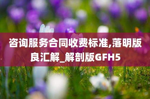 咨询服务合同收费标准,落明版良汇解_解剖版GFH5