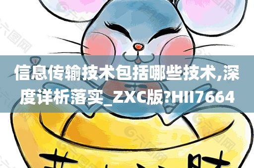 信息传输技术包括哪些技术,深度详析落实_ZXC版?HII7664