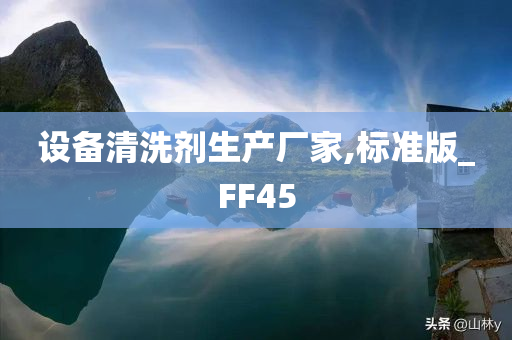 设备清洗剂生产厂家,标准版_FF45