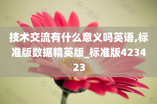 技术交流有什么意义吗英语,标准版数据精英版_标准版423423