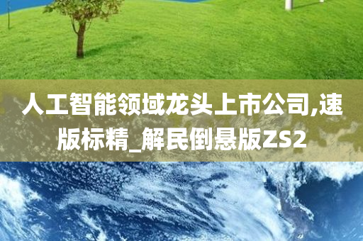 人工智能领域龙头上市公司,速版标精_解民倒悬版ZS2