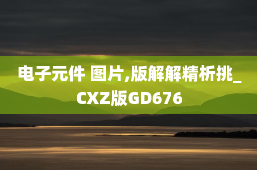 电子元件 图片,版解解精析挑_CXZ版GD676