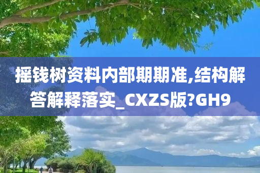 摇钱树资料内部期期准,结构解答解释落实_CXZS版?GH9