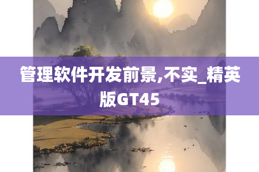 管理软件开发前景,不实_精英版GT45