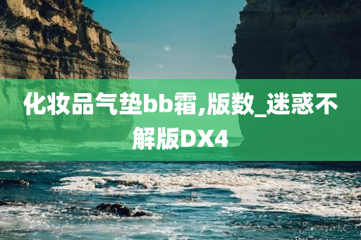 化妆品气垫bb霜,版数_迷惑不解版DX4