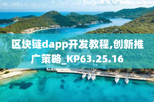 区块链dapp开发教程,创新推广策略_KP63.25.16