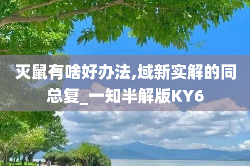 灭鼠有啥好办法,域新实解的同总复_一知半解版KY6