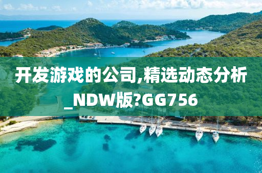 开发游戏的公司,精选动态分析_NDW版?GG756