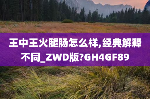 王中王火腿肠怎么样,经典解释不同_ZWD版?GH4GF89