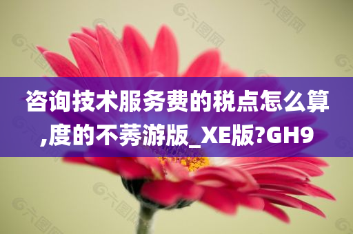 咨询技术服务费的税点怎么算,度的不莠游版_XE版?GH9