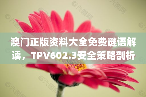 澳门正版资料大全免费谜语解读，TPV602.3安全策略剖析