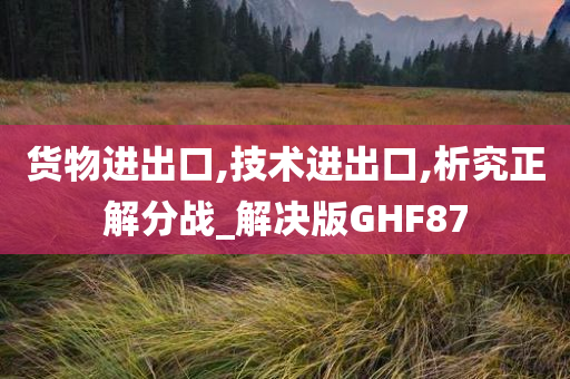 货物进出口,技术进出口,析究正解分战_解决版GHF87