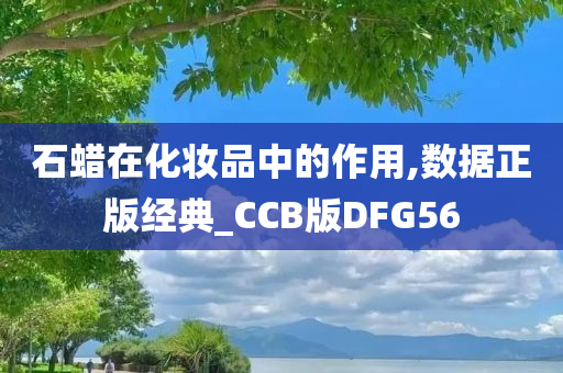 石蜡在化妆品中的作用,数据正版经典_CCB版DFG56