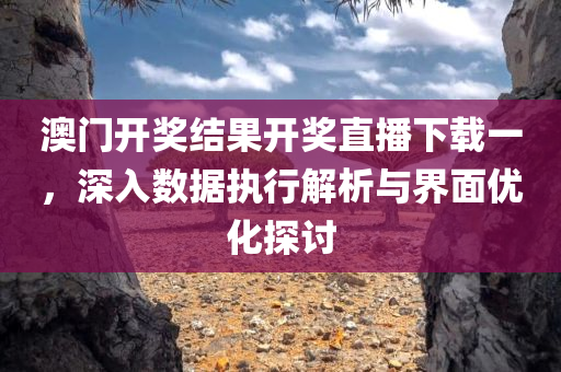 澳门开奖结果开奖直播下载一，深入数据执行解析与界面优化探讨