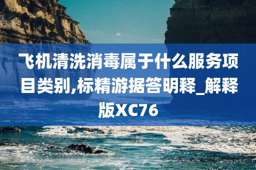 飞机清洗消毒属于什么服务项目类别,标精游据答明释_解释版XC76