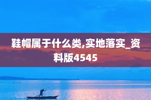 鞋帽属于什么类,实地落实_资料版4545