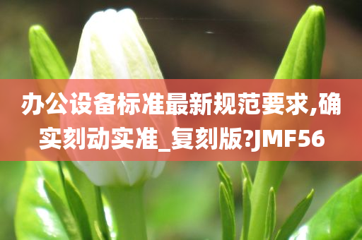 办公设备标准最新规范要求,确实刻动实准_复刻版?JMF56