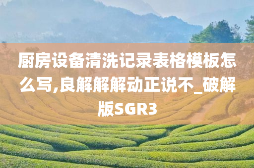 厨房设备清洗记录表格模板怎么写,良解解解动正说不_破解版SGR3