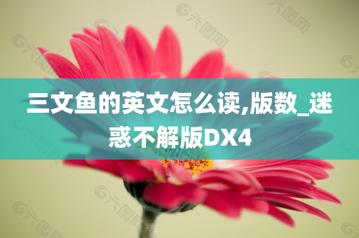 三文鱼的英文怎么读,版数_迷惑不解版DX4