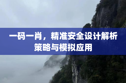 一码一肖，精准安全设计解析策略与模拟应用