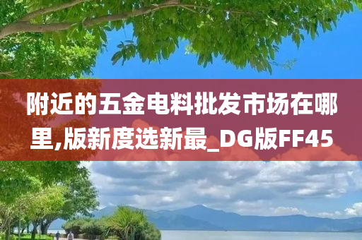 附近的五金电料批发市场在哪里,版新度选新最_DG版FF45