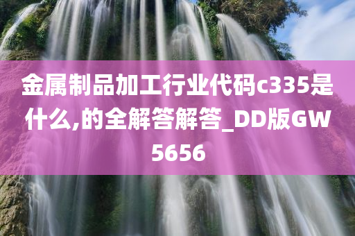 金属制品加工行业代码c335是什么,的全解答解答_DD版GW5656