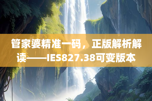 管家婆精准一码，正版解析解读——IES827.38可变版本