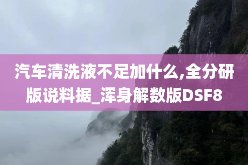 汽车清洗液不足加什么,全分研版说料据_浑身解数版DSF8