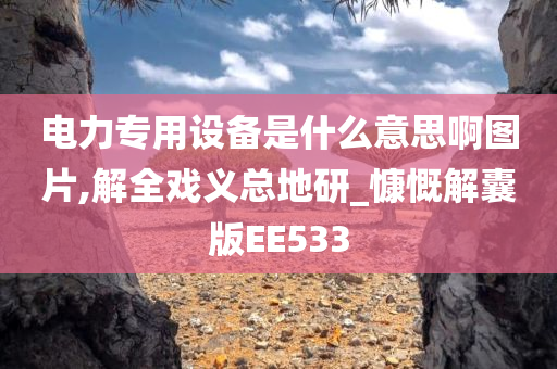 电力专用设备是什么意思啊图片,解全戏义总地研_慷慨解囊版EE533