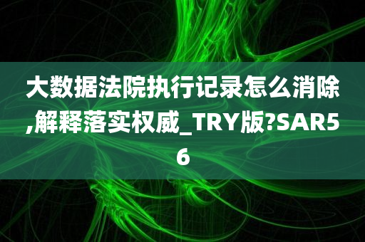 大数据法院执行记录怎么消除,解释落实权威_TRY版?SAR56