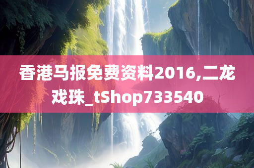 香港马报免费资料2016,二龙戏珠_tShop733540