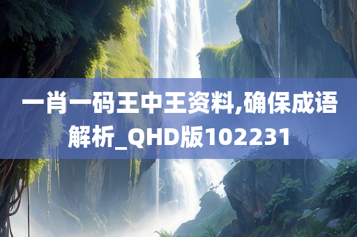 一肖一码王中王资料,确保成语解析_QHD版102231