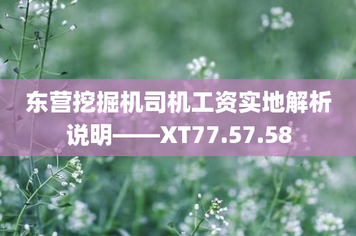 东营挖掘机司机工资实地解析说明——XT77.57.58