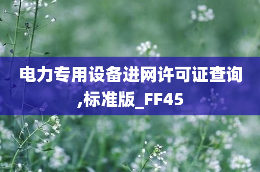 电力专用设备进网许可证查询,标准版_FF45