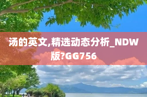 汤的英文,精选动态分析_NDW版?GG756