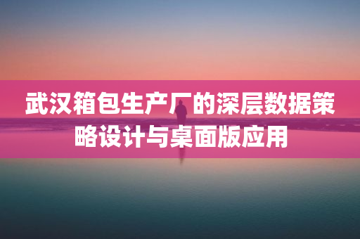 武汉箱包生产厂的深层数据策略设计与桌面版应用