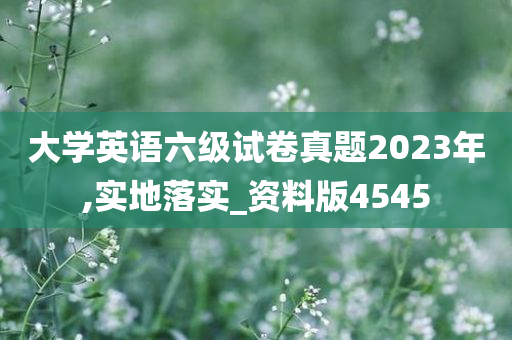 大学英语六级试卷真题2023年,实地落实_资料版4545