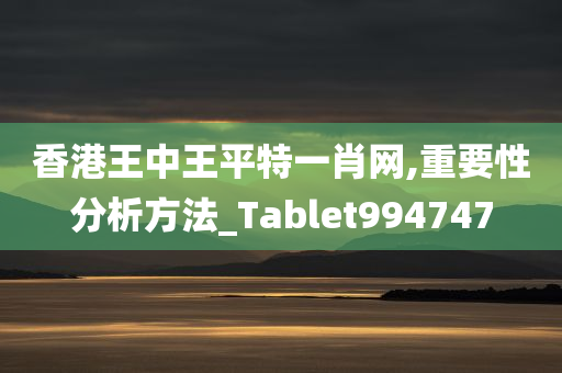 香港王中王平特一肖网,重要性分析方法_Tablet994747