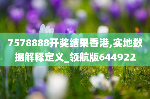 7578888开奖结果香港,实地数据解释定义_领航版644922