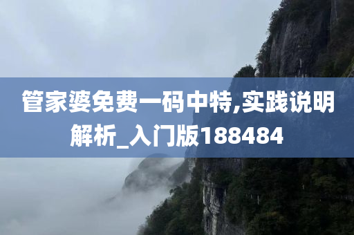 管家婆免费一码中特,实践说明解析_入门版188484