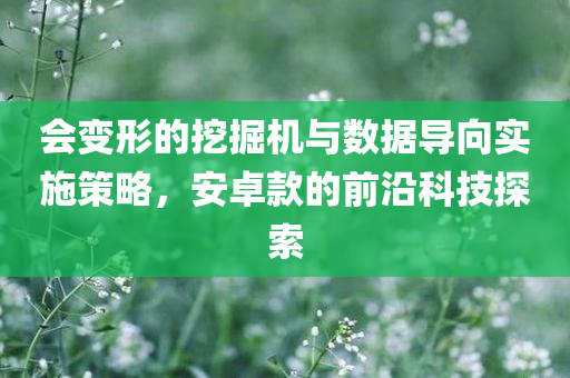 会变形的挖掘机与数据导向实施策略，安卓款的前沿科技探索