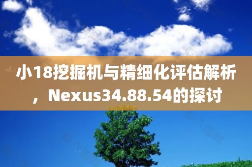 小18挖掘机与精细化评估解析，Nexus34.88.54的探讨