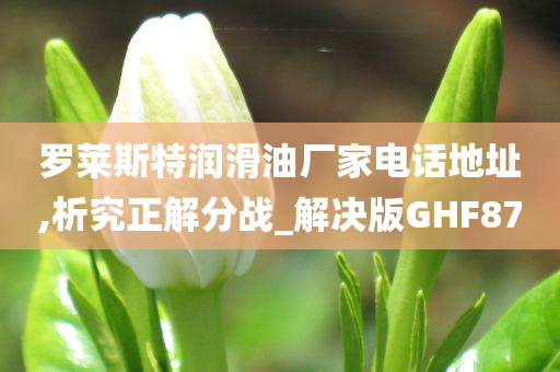 罗莱斯特润滑油厂家电话地址,析究正解分战_解决版GHF87