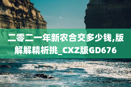 二零二一年新农合交多少钱,版解解精析挑_CXZ版GD676